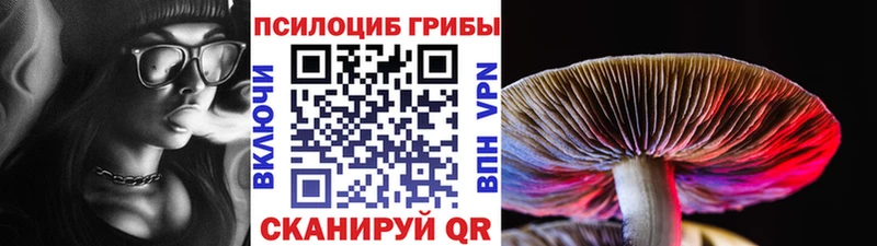Псилоцибиновые грибы прущие грибы  Купить где  Электроугли 