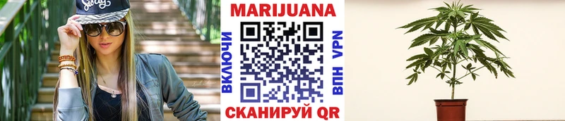 Купить закладки  Электроугли  Бошки Шишки White Widow 